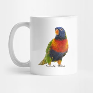 Cute Parrot Mug